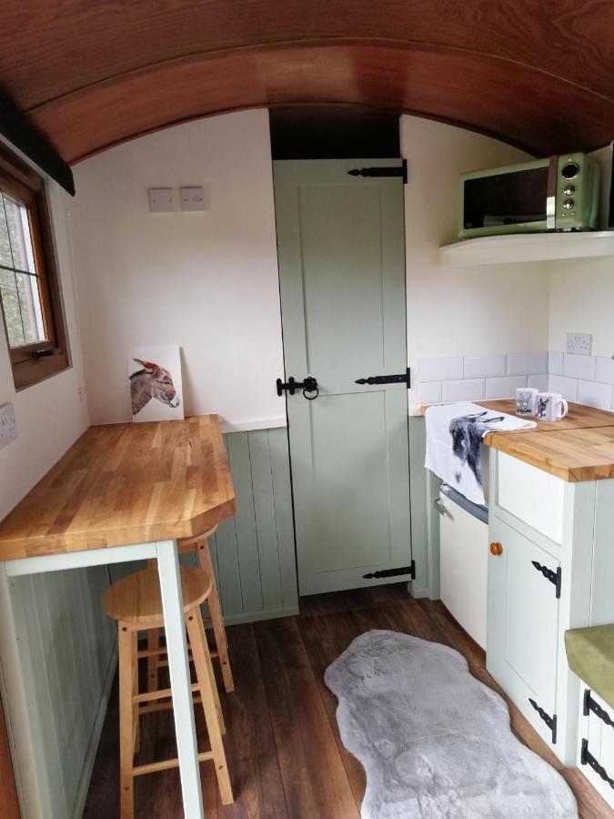 Durham Donkey Rescue Shepherd'S Hut Hotel Kültér fotó