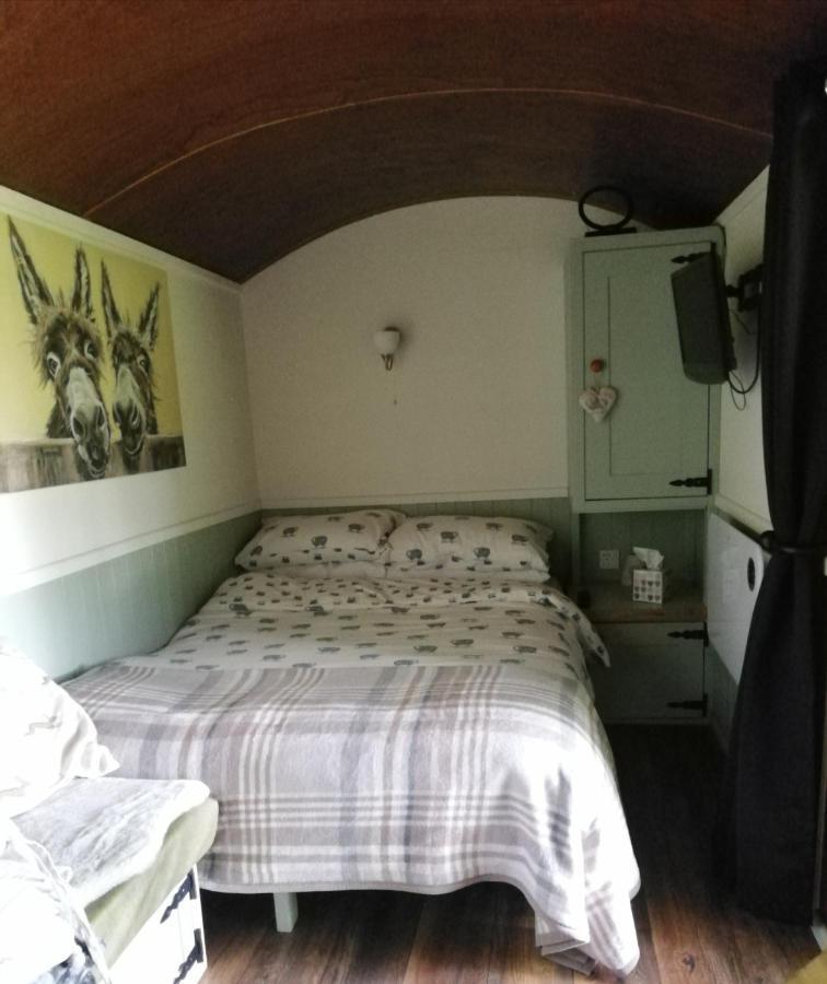 Durham Donkey Rescue Shepherd'S Hut Hotel Kültér fotó