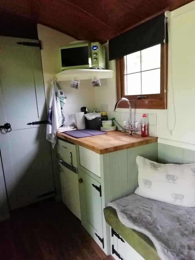 Durham Donkey Rescue Shepherd'S Hut Hotel Kültér fotó