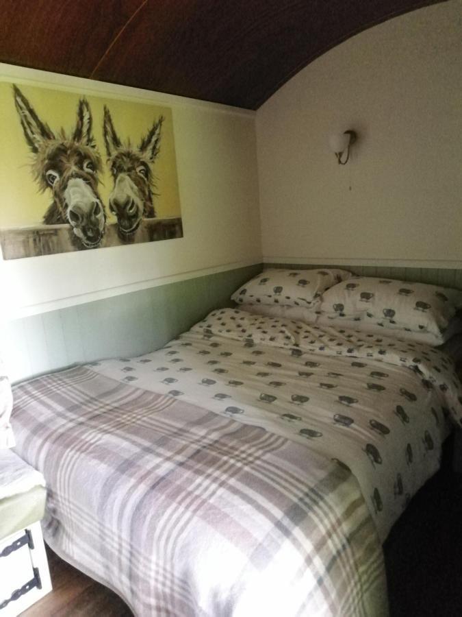 Durham Donkey Rescue Shepherd'S Hut Hotel Kültér fotó