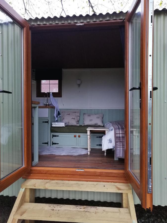 Durham Donkey Rescue Shepherd'S Hut Hotel Kültér fotó