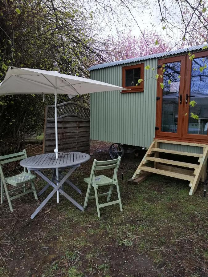 Durham Donkey Rescue Shepherd'S Hut Hotel Kültér fotó