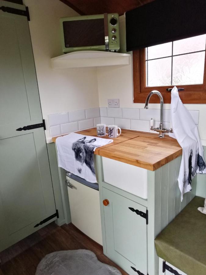 Durham Donkey Rescue Shepherd'S Hut Hotel Kültér fotó