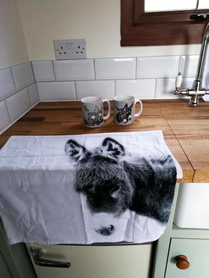 Durham Donkey Rescue Shepherd'S Hut Hotel Kültér fotó