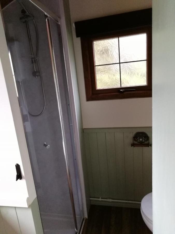 Durham Donkey Rescue Shepherd'S Hut Hotel Kültér fotó